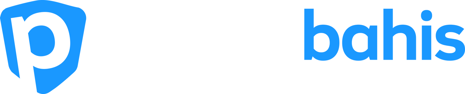 Prime Logo